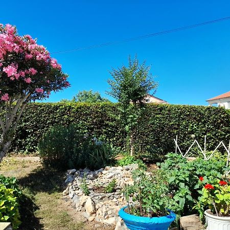 Villa Ana Rovinjsko Selo Zewnętrze zdjęcie